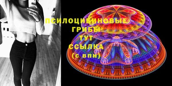 твердый Балахна