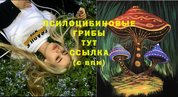 твердый Балахна