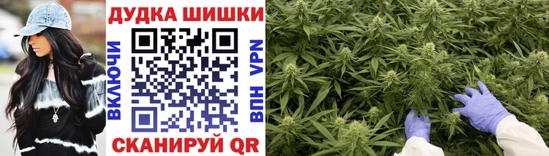цены Бобров hydra Бошки Шишки ГИДРОПОН